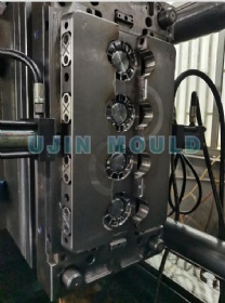 plastic screw mould