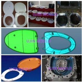 Toilet cover mould