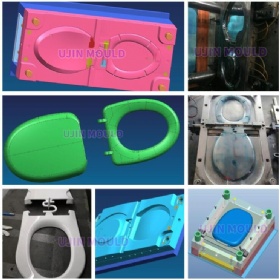 Toilet seat cover mould