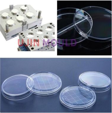 plastic Petri dish mould