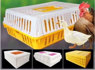 poultry crate mould